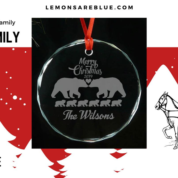 Some Personalized Family Christmas Ornaments