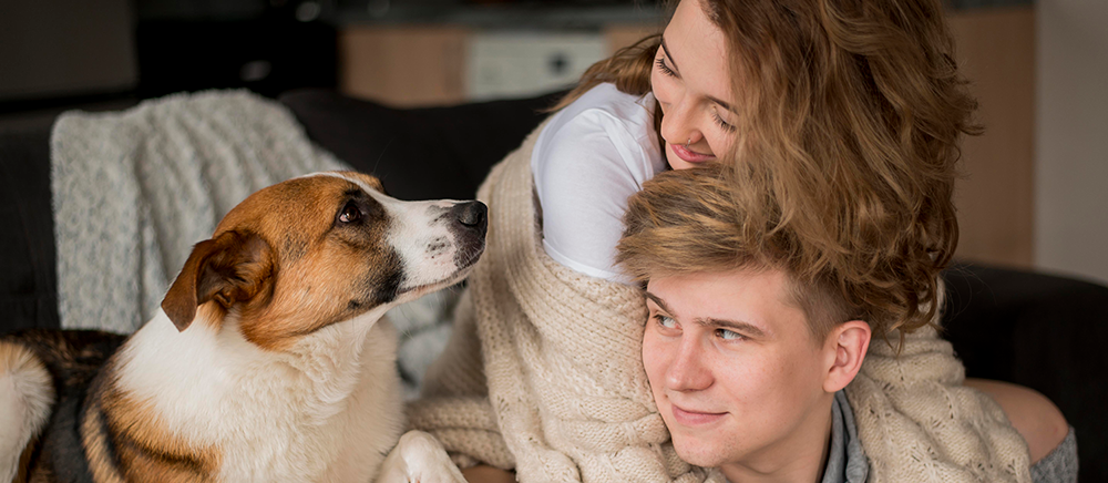 Fur Moms Unite: Showing Love to Our Furry Children on Valentine's Day