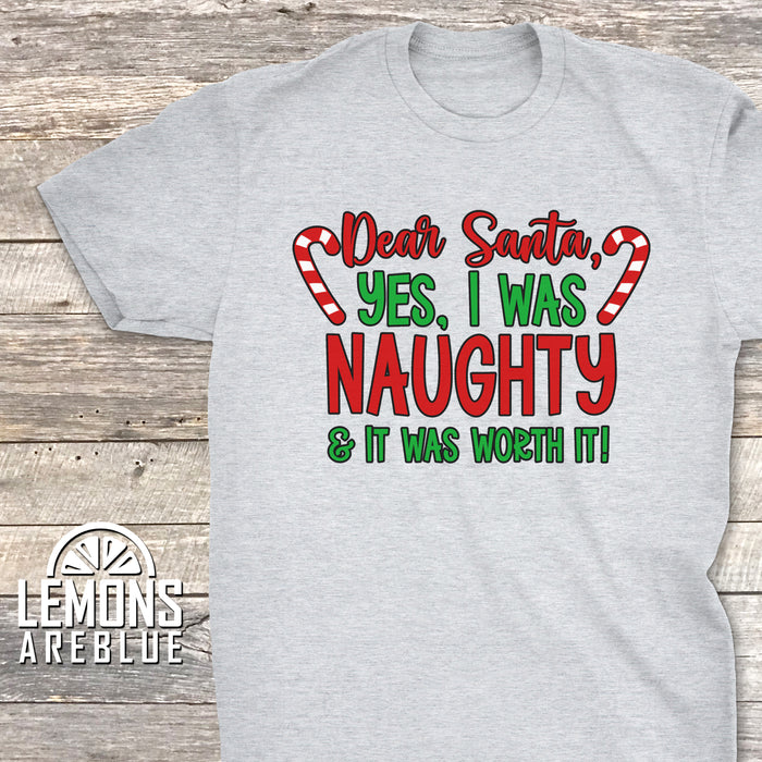 I Was Naughty And It Was Worth It Premium Tee