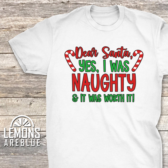 I Was Naughty And It Was Worth It Premium Tee