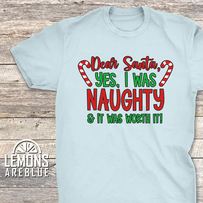 I Was Naughty And It Was Worth It Premium Tee