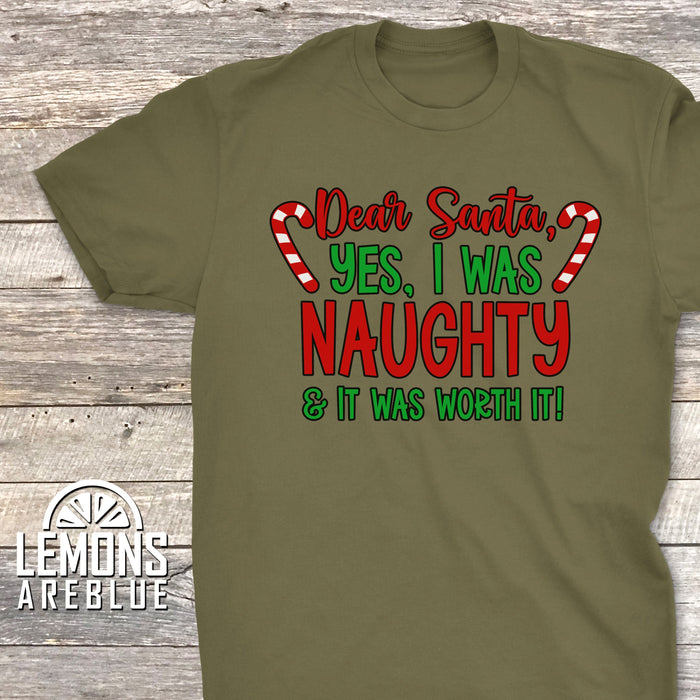 I Was Naughty And It Was Worth It Premium Tee