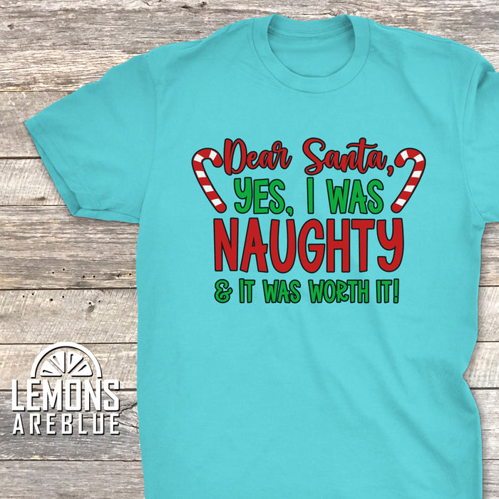 I Was Naughty And It Was Worth It Premium Tee