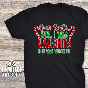 I Was Naughty And It Was Worth It Premium Tee