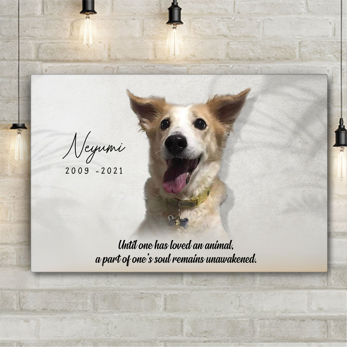 Pet Memorial Personalized Premium Canvas