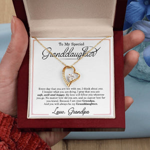 To My Special Granddaughter from Grandpa, Safe Well and Happy Heart Premium jewelry