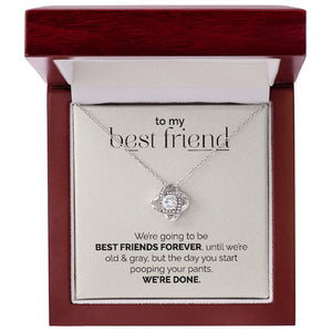 Best Friends Forever, Until You Poop Your Pants Premium Jewelry