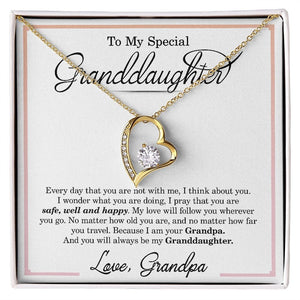 To My Special Granddaughter from Grandpa, Safe Well and Happy Heart Premium jewelry