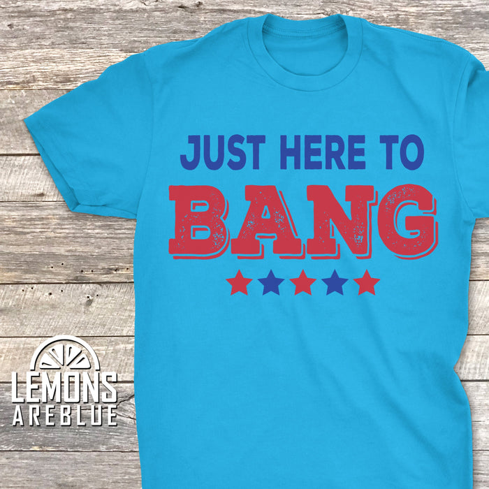 Just Here To Bang Premium Tees