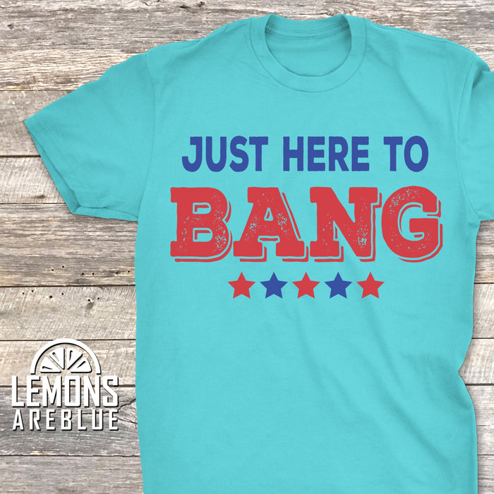 Just Here To Bang Premium Tees